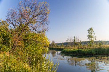 Bir gölü olan yaz manzarası