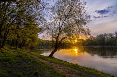 Güneş göldeki ışınlar, ağaçlar ve ağaçların dalları... Akşamları gölün kıyısında.