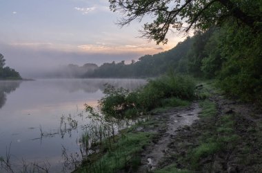 Ormanda bir nehirle sabah.