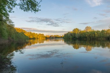 Ormanın kıyısındaki göl.