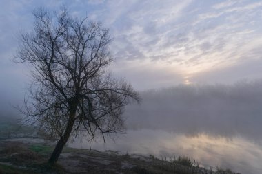Güzel bir gün doğumu olan bir nehirde sabah manzarası.