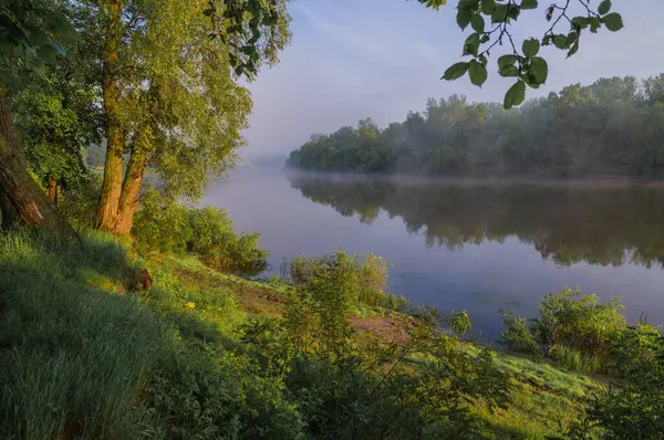Sabah sisi göl üzerinde