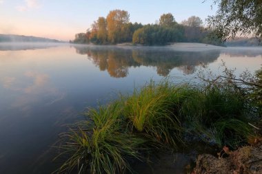 Göl ve ağaçlarla dolu güzel bir manzara