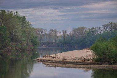 Nehrin kıyısında bir ağaç olan nehir..