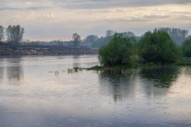 Nehirli güzel bir manzara, ormandaki bir göl.
