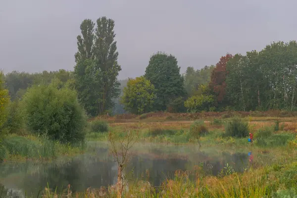 Sonbahar manzarası, renkli sonbahar ağaçları. Ekim