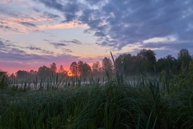              Gölde harika bir bahar gündoğumu           