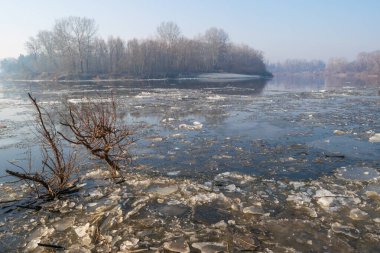 Gölde donmuş ağaçlar