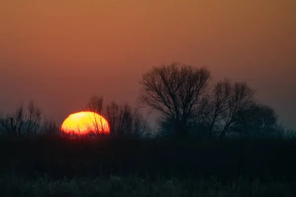 Ormanda güzel bir gün batımı