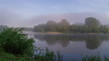 Ormanda sisli bir sabah