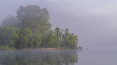 Ormanda sisli bir sabah