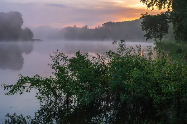 Ormanda sisli bir sabah