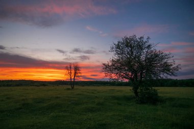 Tarlanın üzerinde güzel bir gün batımı.