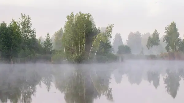 Ormanda sisli bir sabah