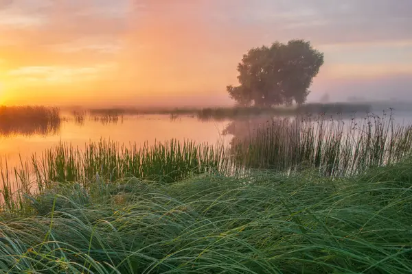 Gölde gün batımı sisli