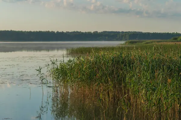 Yaz akşamları nehir ve göl manzarası