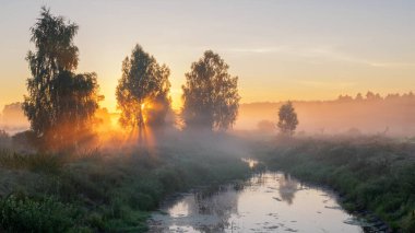 Ormanda gün doğumu.