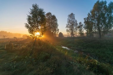 Nehrin üzerinde gün doğumu