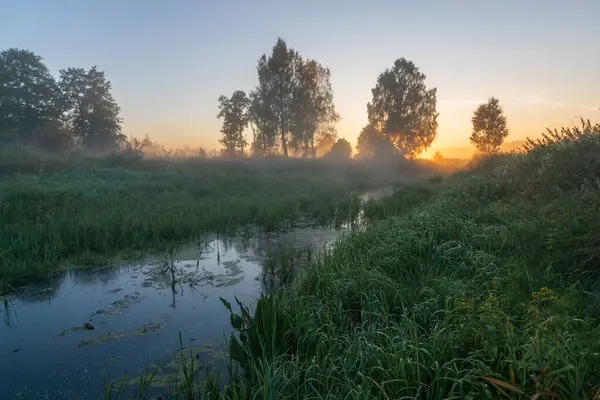 Sis ve ağaçlarla gölün üzerinde gün doğumu.