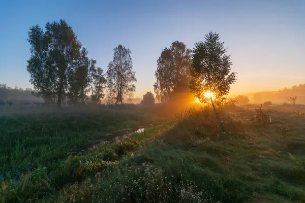 Sabahları ağaçlarla dolu bir gölün üzerinde güzel bir gün doğumu.