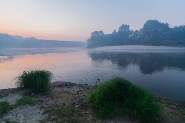 Sabahın erken saatlerinde bir nehrin kıyısında sabah sisi.