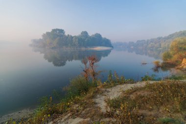 Nehrin kıyısında bir göl ve bir ağaç olan sonbahar manzarası