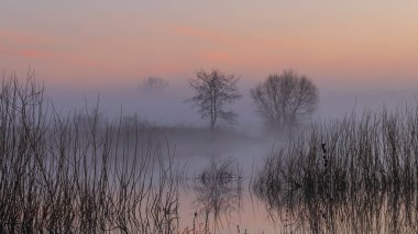Gölün üzerinde gün doğumu.