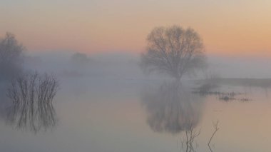 Nehirde gün doğumu