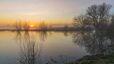Ağaçlar ve yansımalarla dolu bir gölün üzerinde gün doğumu