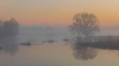 Nehirde sabah sisi ilkbaharda sabahın erken saatlerinde.