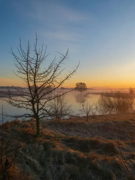 Gün batımında manzara çok güzel. doğa bileşimi.