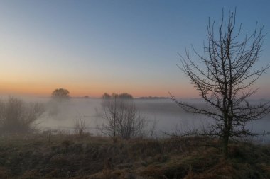 Sabah ormanında sis