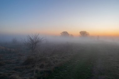 Sabah ormanında sis