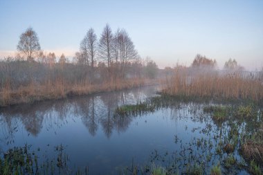 Sabahları nehir olan güzel bir manzara.