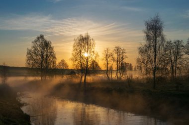 Ormanda gün doğumuyla birlikte güzel bir sabah güneşi.