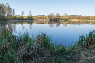 Gündoğumunda ormandaki güzel göl