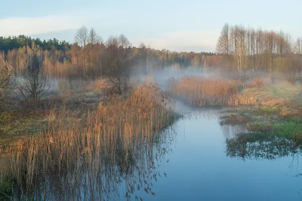 Nehirde sonbahar sabahı. Su yüzeyindeki renkli ağaçlar ve çalılar. Sis ve suyla sonbahar manzarası.