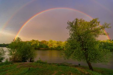 Doğada bir nehri olan güzel bir gün batımı