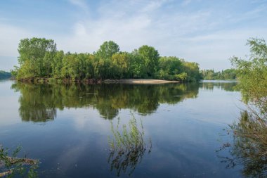 Ormandaki güzel nehir