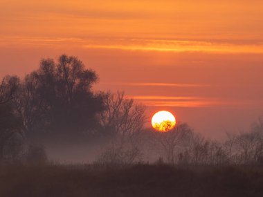 Kırsalda güzel bir gün batımı