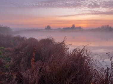 Bir nehir üzerinde gündoğumu