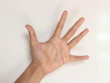 Beyaz arkaplanda beş numarayı gösteren el.