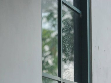 yeşil arkaplanı olan beyaz pencere