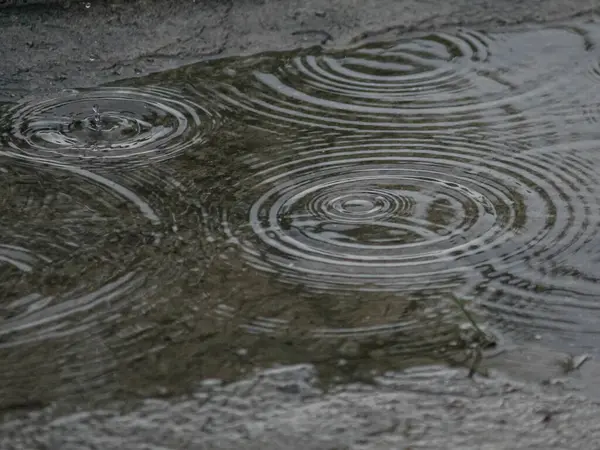 Su birikintisinde yağmur suyu damlası