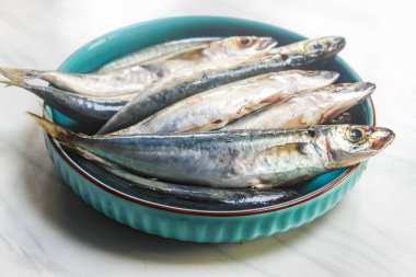 Tabakta çiğ taze uskumru balığı.