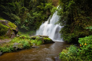 Güzel Pha Dok Manzarası ve inanılmaz yakın şelale manzaralı ve teraslı pirinç, Ban Mae Klang Luang, Doi Inthanon Ulusal Parkı, Chom Tangası, Chiang Mai Tayland