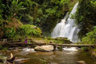 Güzel Pha Dok Manzarası ve inanılmaz yakın şelale manzaralı ve teraslı pirinç, Ban Mae Klang Luang, Doi Inthanon Ulusal Parkı, Chom Tangası, Chiang Mai Tayland