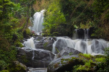 Güzel Pha Dok Manzarası ve inanılmaz yakın şelale manzaralı ve teraslı pirinç, Ban Mae Klang Luang, Doi Inthanon Ulusal Parkı, Chom Tangası, Chiang Mai Tayland