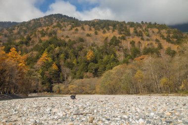 Kamikochi 'nin dağları, vahşi yaşamı, dereleri ve iyi havası olan güzel bir atmosferi vardır. Özellikle sonbahar mevsiminde, Japon Alpleri' nin bir kısmı olan Nagano 'da..