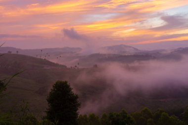 Wat, Khao Kho, Phetchabun 'un arkasında yer alan Wat Kong Niam, kışın ve yağmur mevsiminde sis denizi için ünlü bir bakış açısı..